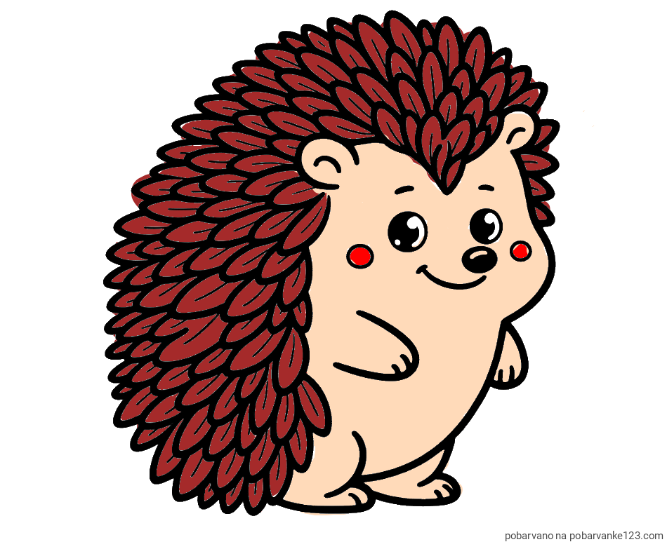 POBARVANA POBARVANKA - Pobarvanka prisrčnega ježka