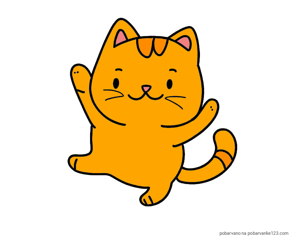 POBARVANA POBARVANKA - Pobarvanka razigrane mačke