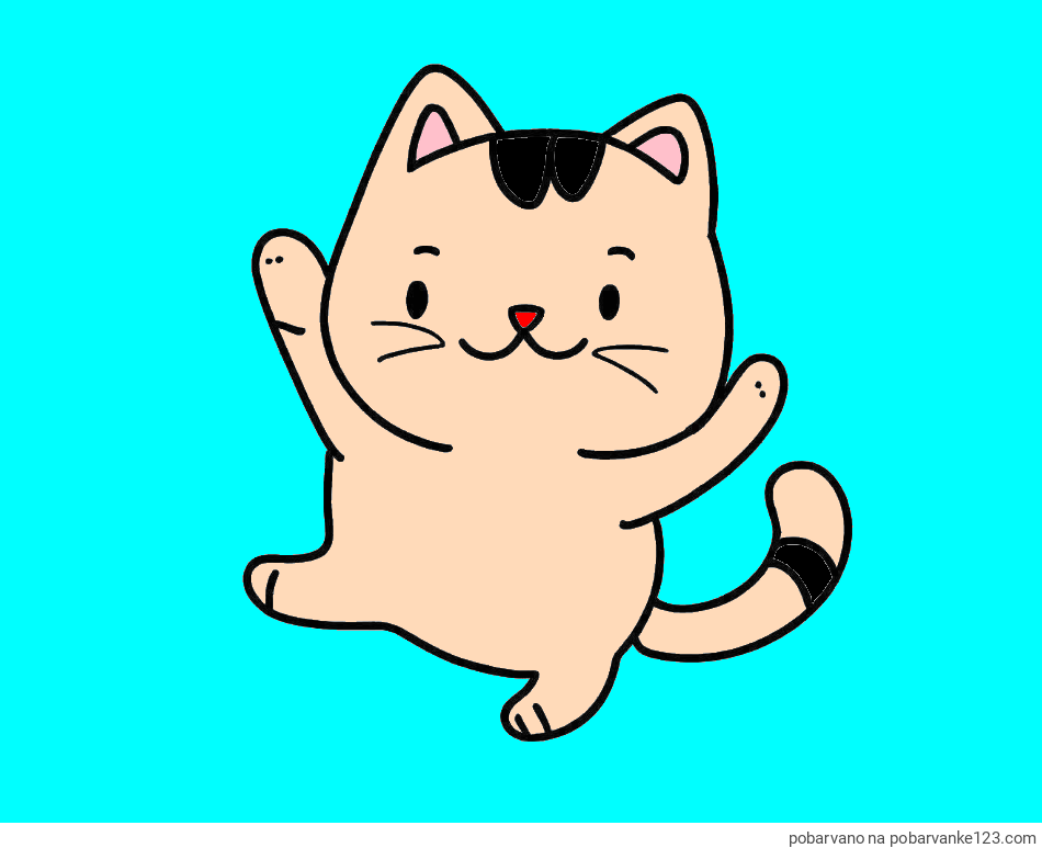 POBARVANA POBARVANKA - Pobarvanka razigrane mačke