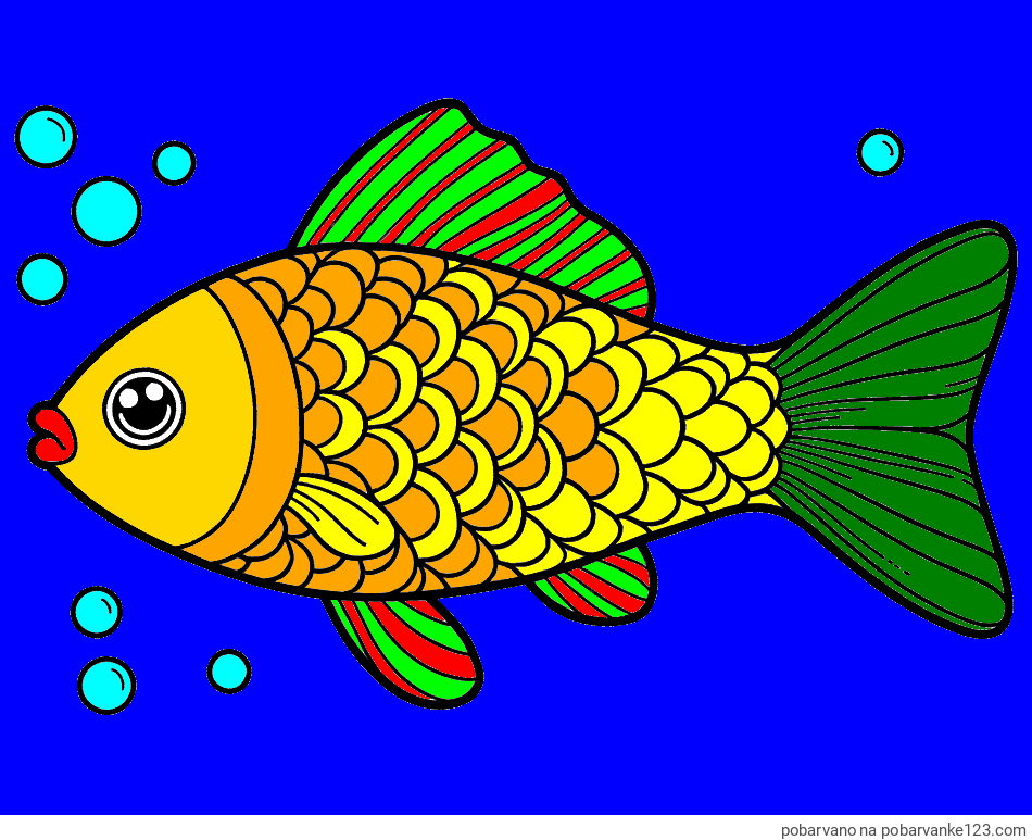 POBARVANA POBARVANKA - Pobarvanka ribe