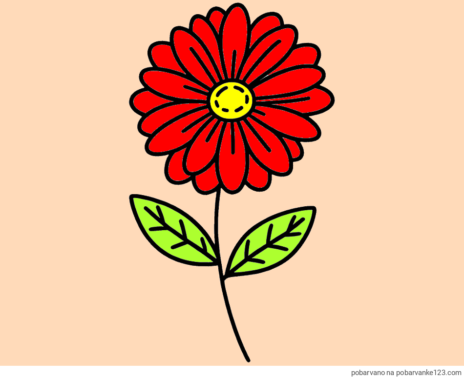 POBARVANA POBARVANKA - Pobarvanka rožice