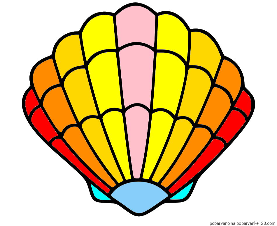 POBARVANA POBARVANKA - Pobarvanka školjke