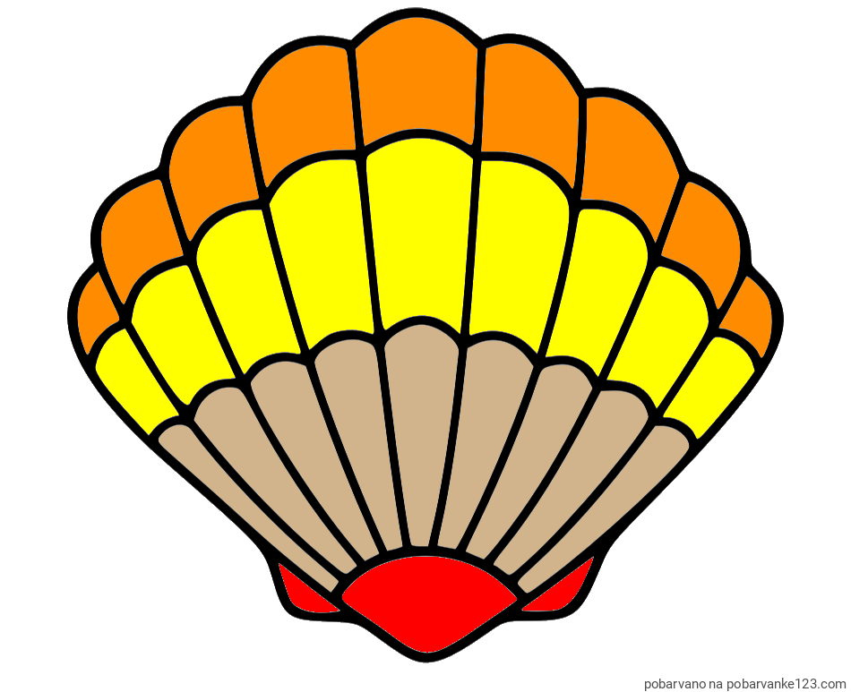 POBARVANA POBARVANKA - Pobarvanka školjke