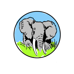 Pobarvana pobarvanka - Pobarvanka slonje glave