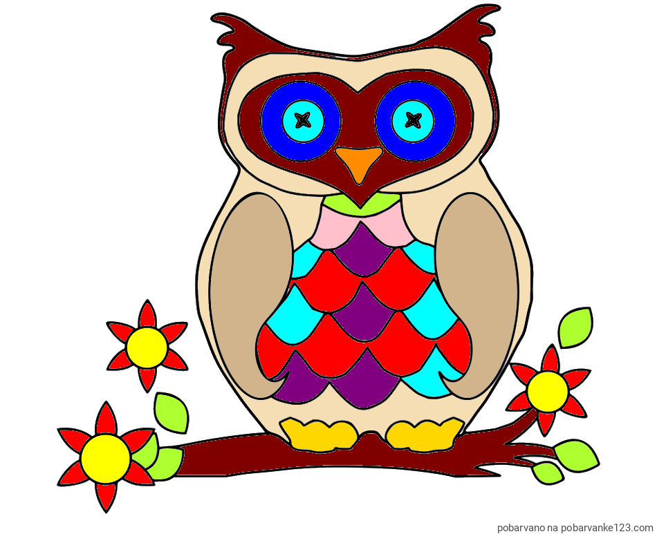 POBARVANA POBARVANKA - Pobarvanka sove