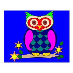 Pobarvana pobarvanka - Pobarvanka sove