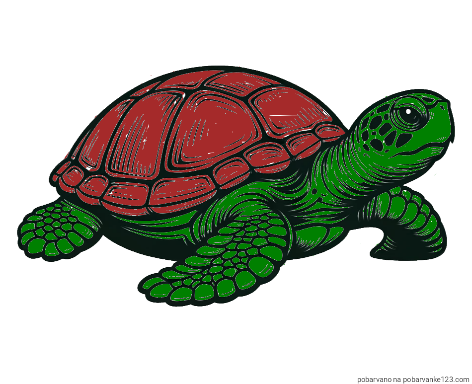 POBARVANA POBARVANKA - Pobarvanka velike želve