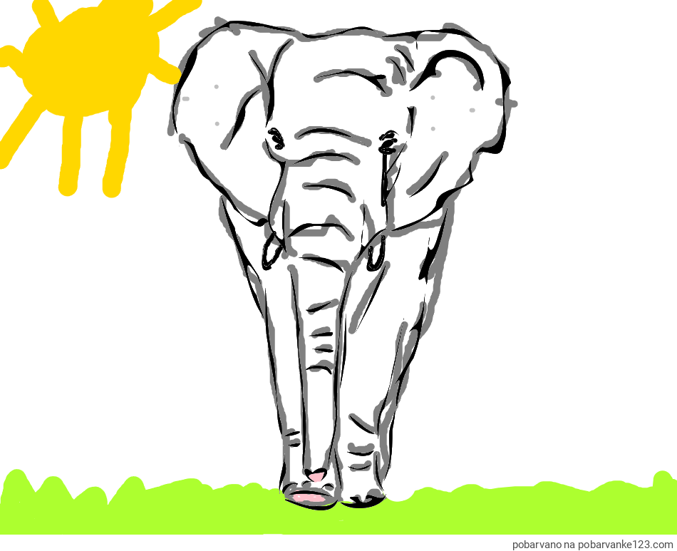 POBARVANA POBARVANKA - Pobarvanka velikega slona