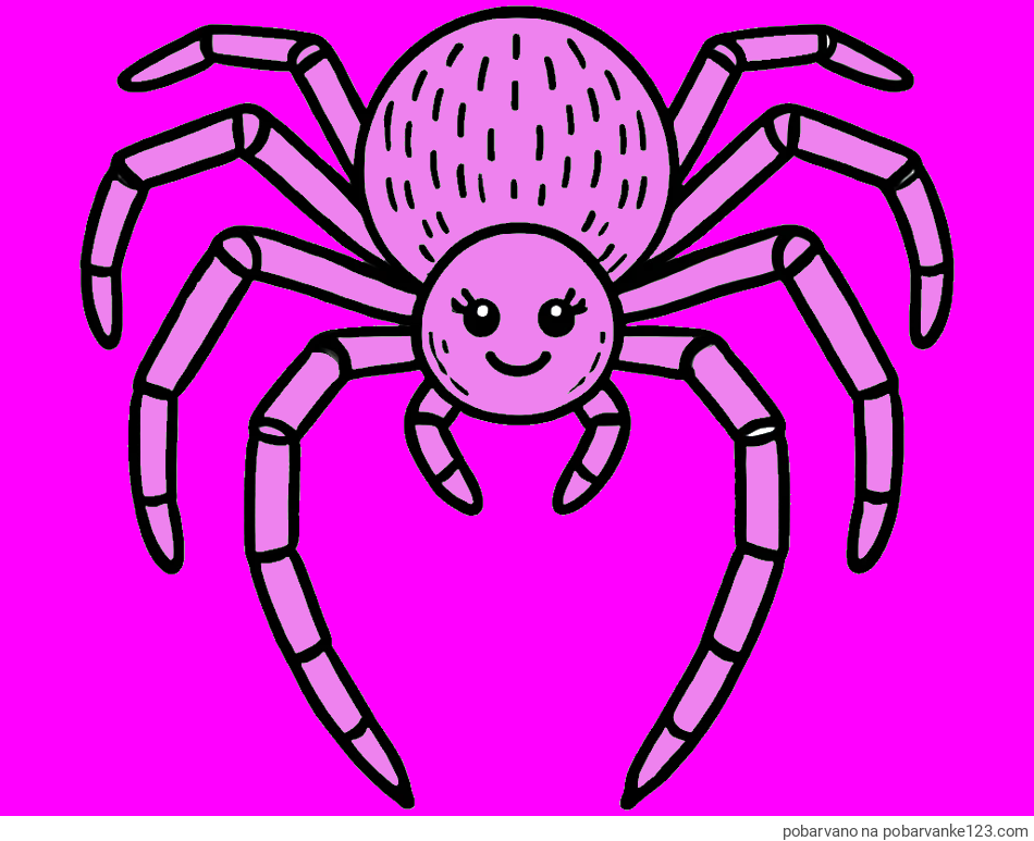 POBARVANA POBARVANKA - Pobarvanka veselega pajka