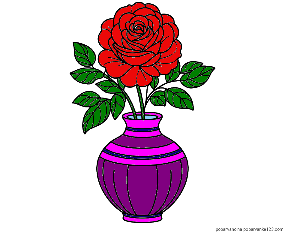 POBARVANA POBARVANKA - Pobarvanka vrtnice v vazi