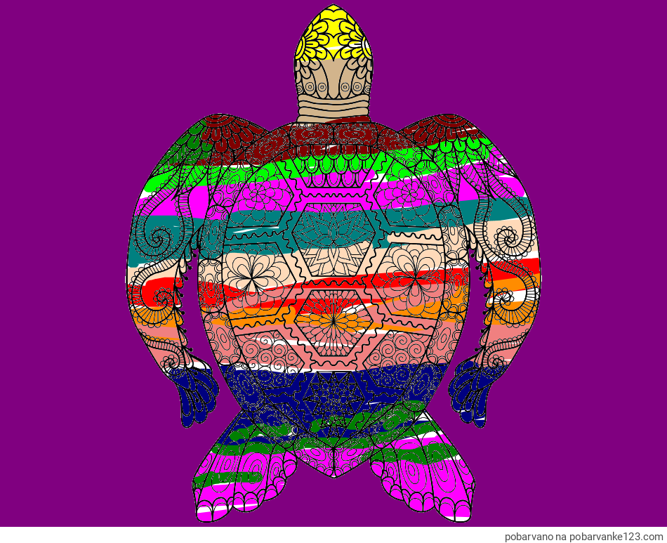 POBARVANA POBARVANKA - Pobarvanka želve - mandale