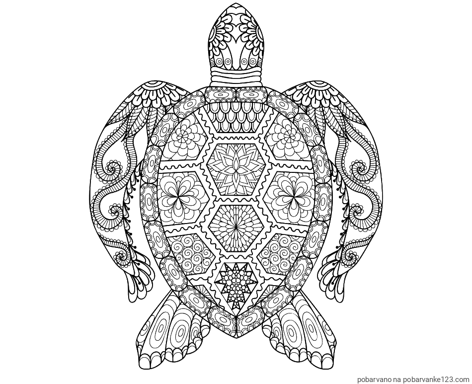 POBARVANA POBARVANKA - Pobarvanka želve - mandale