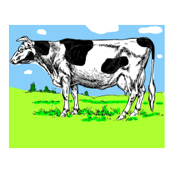 POBARVANA POBARVANKA - Pobarvanka krave na paši