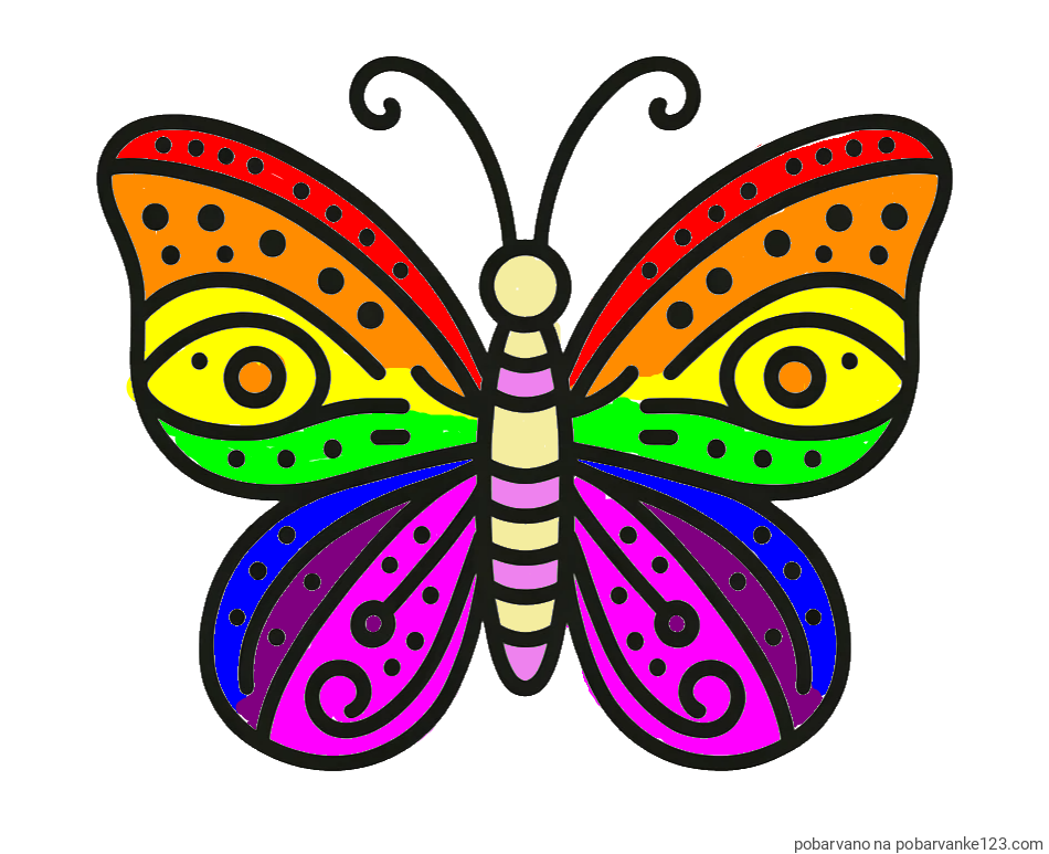 POBARVANA POBARVANKA - Preprosta pobarvanka metulja