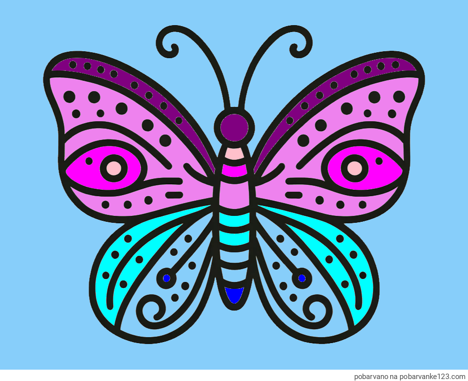 POBARVANA POBARVANKA - Preprosta pobarvanka metulja