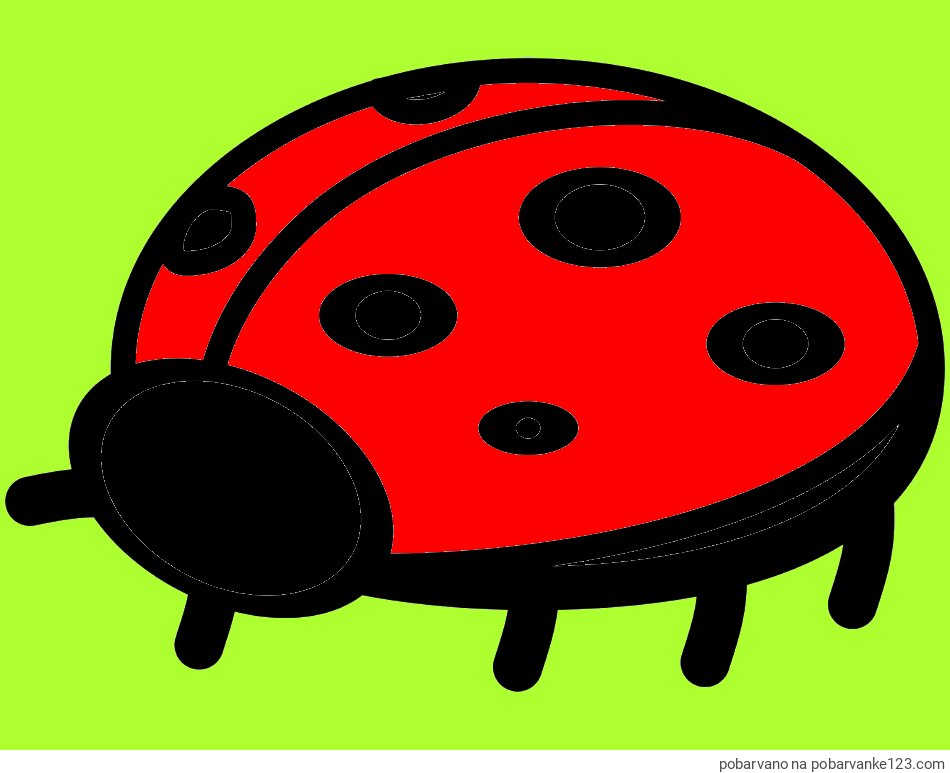 POBARVANA POBARVANKA - Preprosta pobarvanka pikapolonice