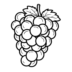 Pobarvanka grozdja z velikimi rozinami