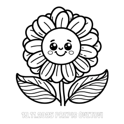 Online izdelana pobarvanka - Pobarvanka imena 19.11.2025 PREPIS CVETOVI in pobarvanka ljubke in nasmejane rože