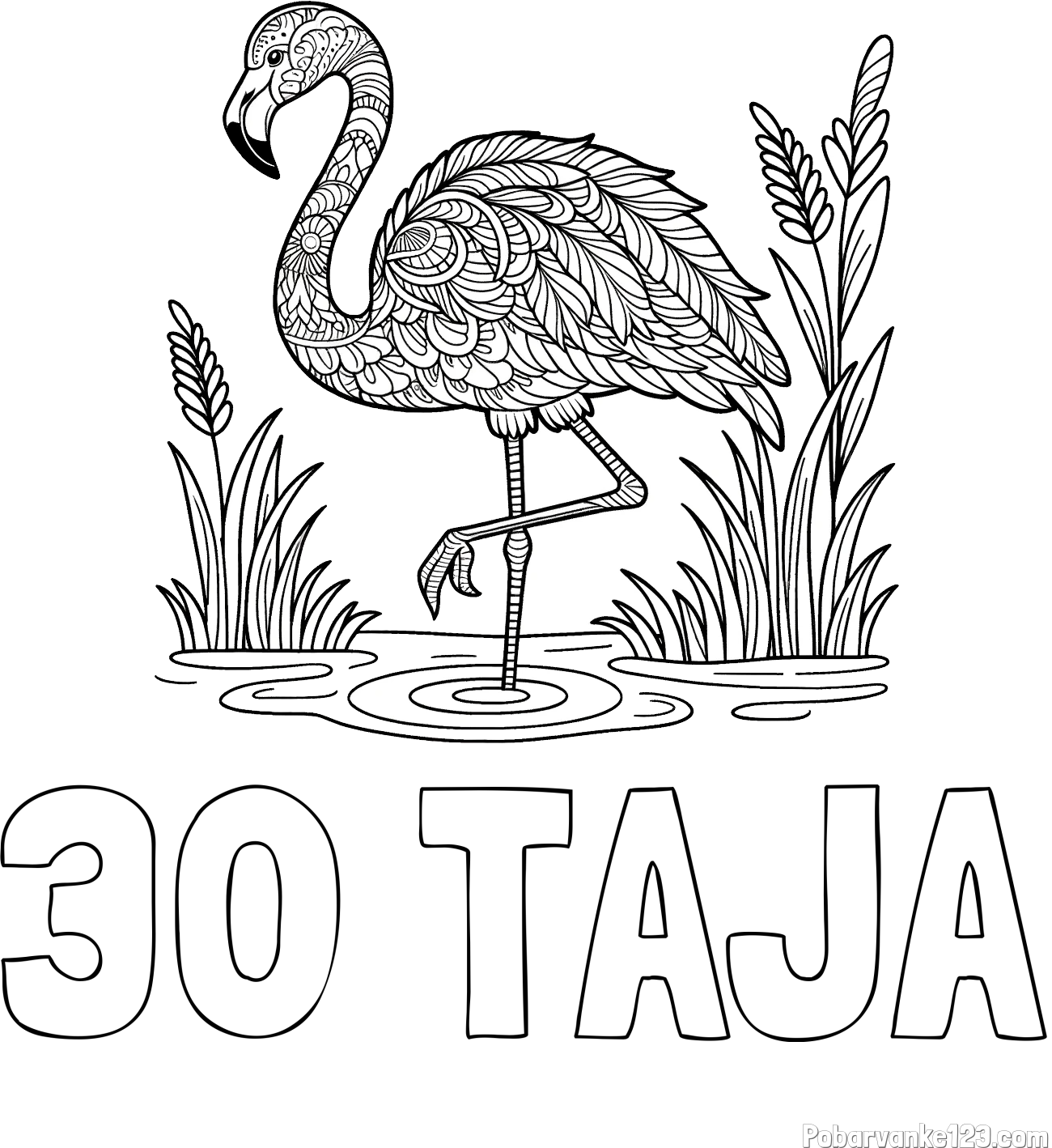 Pobarvanka imena 30 TAJA in pobarvanka flaminga z abstraktnimi vzorci