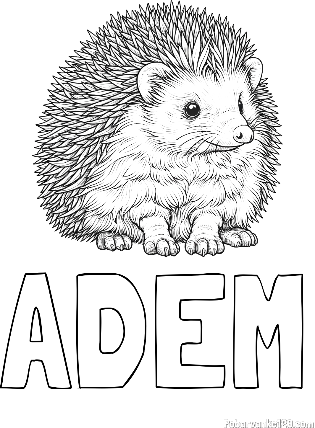 Pobarvanka imena ADEM in pobarvanka nasmejanega ježa