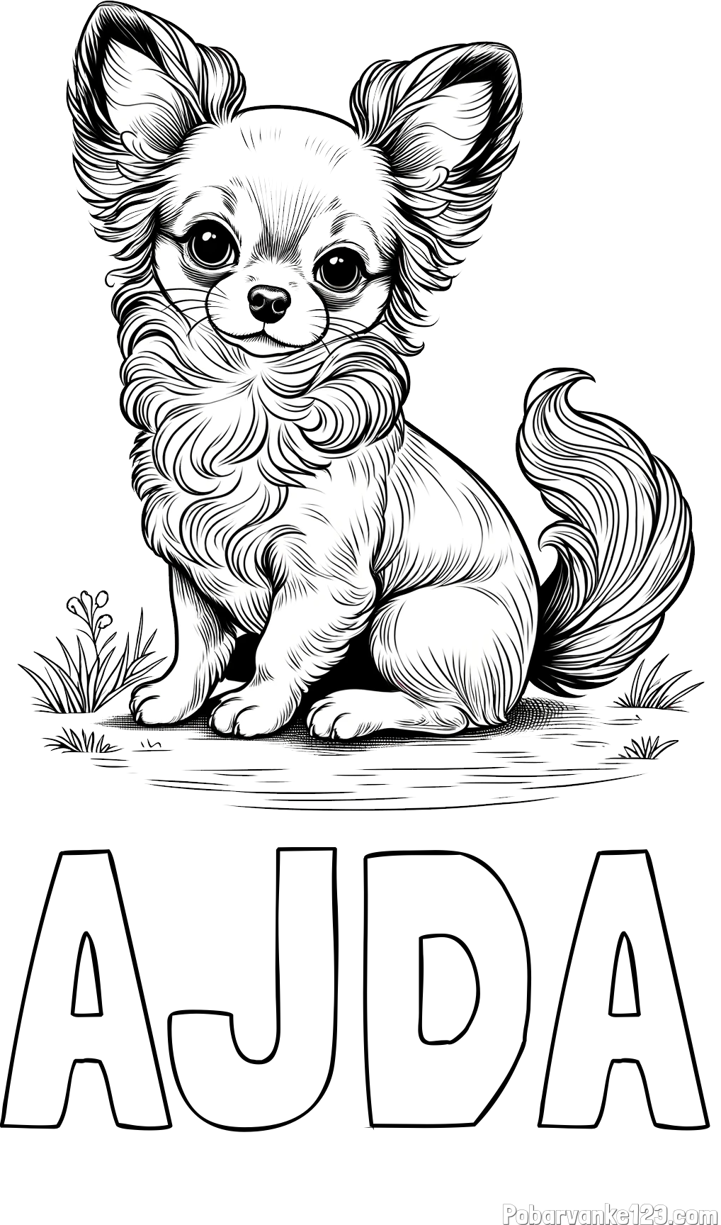 Pobarvanka imena AJDA in pobarvanka ljubke čivave