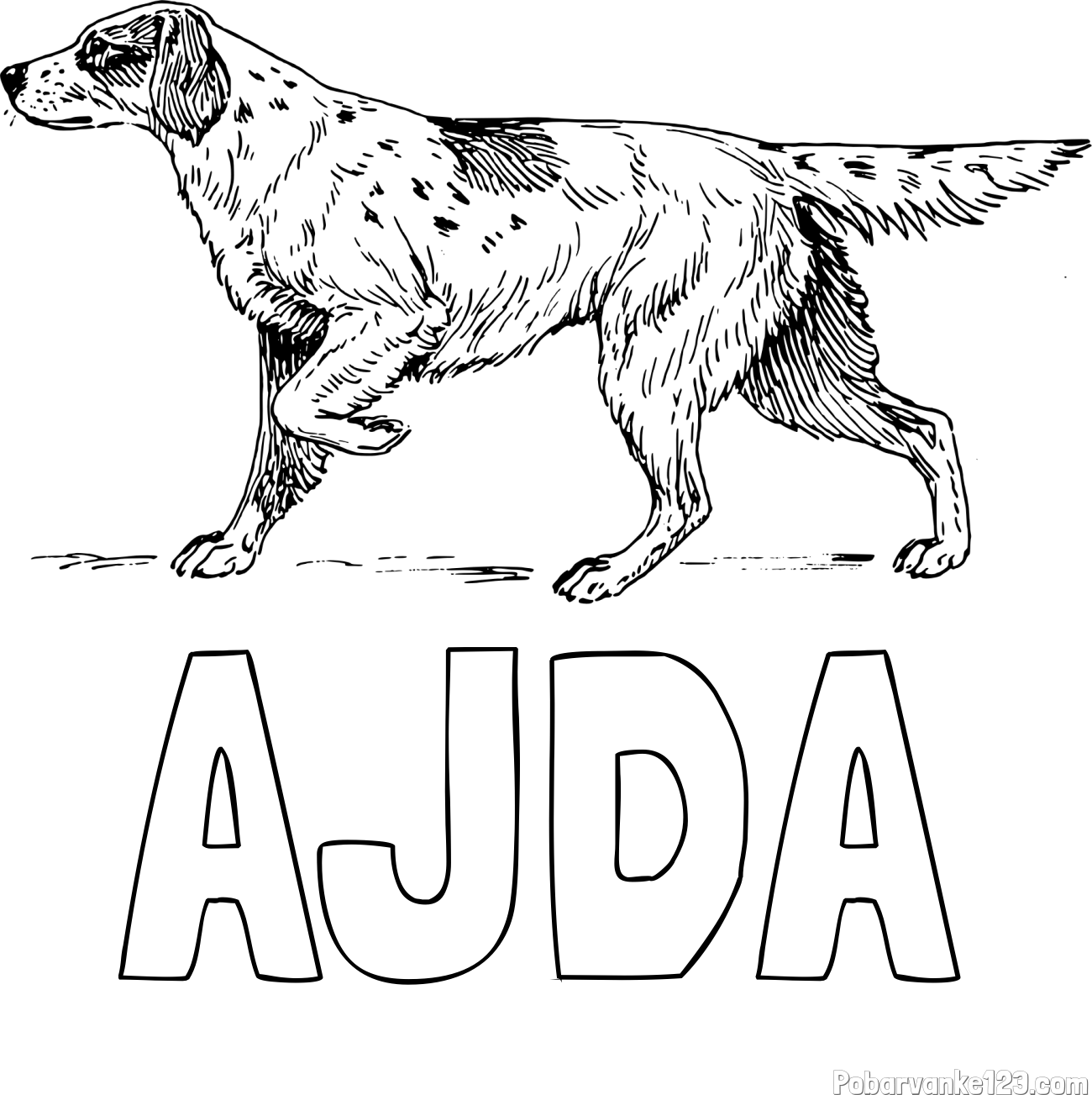 Pobarvanka imena AJDA in pobarvanka lovskega psa na lovu