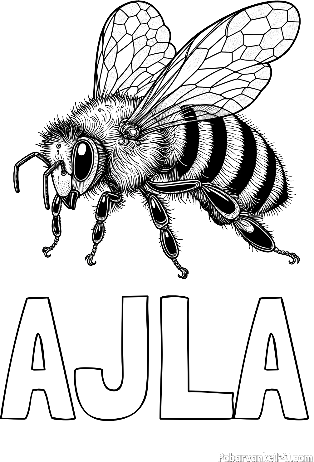 Pobarvanka imena AJLA in pobarvanka lepe in realistično oblikovane čebele