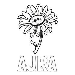 Online izdelana pobarvanka - Pobarvanka imena AJRA in pobarvanka lepe sončnice
