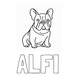 Pobarvanka imena ALFI in pobarvanka francoskega buldoga