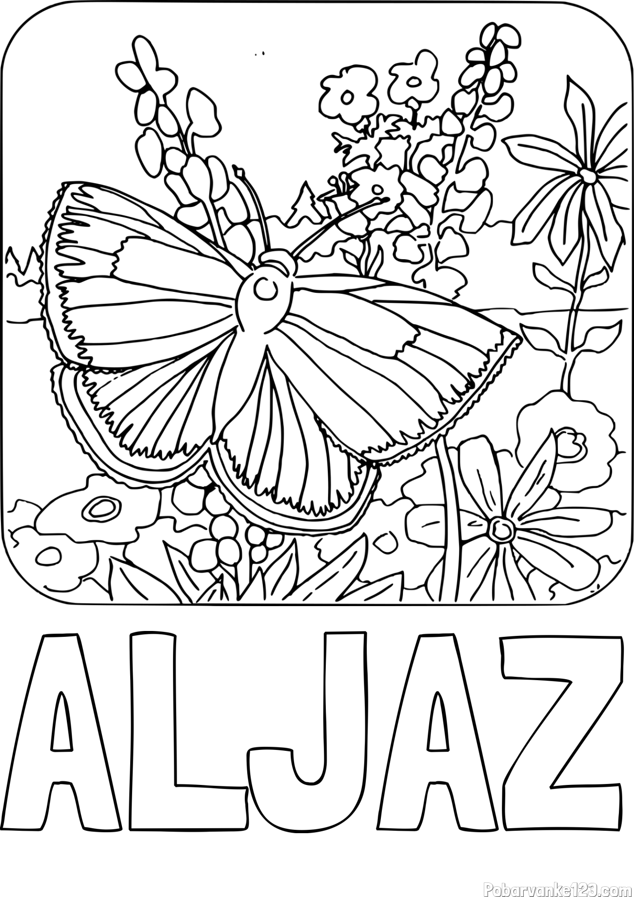 Pobarvanka imena ALJAZ in pobarvanka metulja v naravi