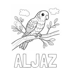 Pobarvanka imena ALJAŽ ter kanarčka