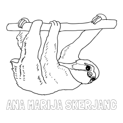 Pobarvanka imena ANA MARIJA ŠKERJANC in pobarvanka lenivca