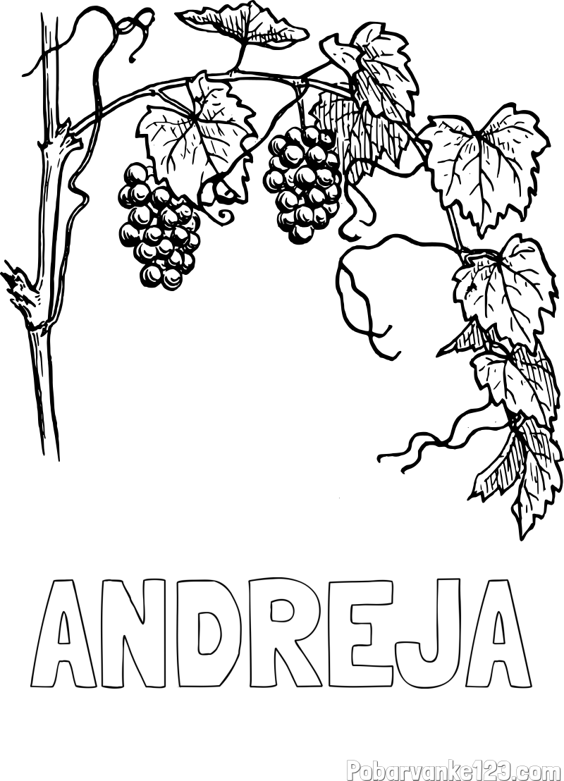 Pobarvanka imena ANDREJA in pobarvanka vinske trte