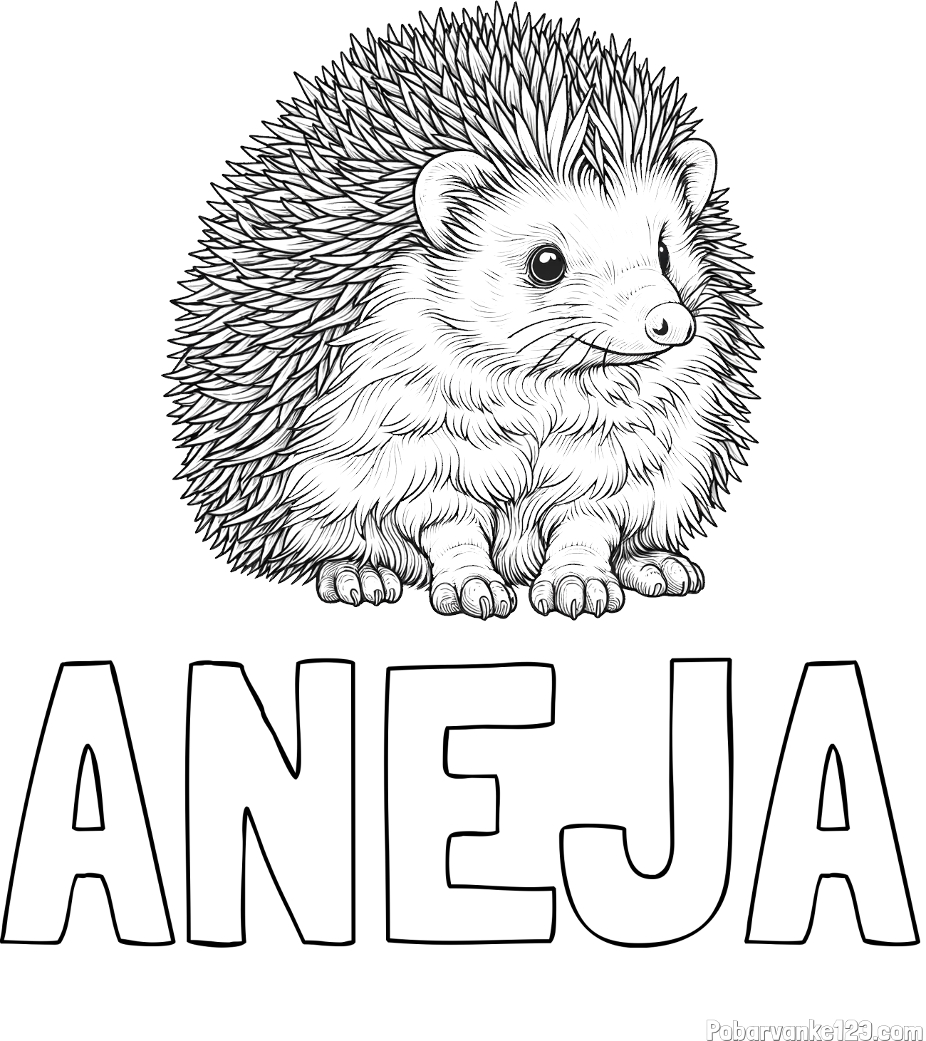 Pobarvanka imena ANEJA in pobarvanka nasmejanega ježa