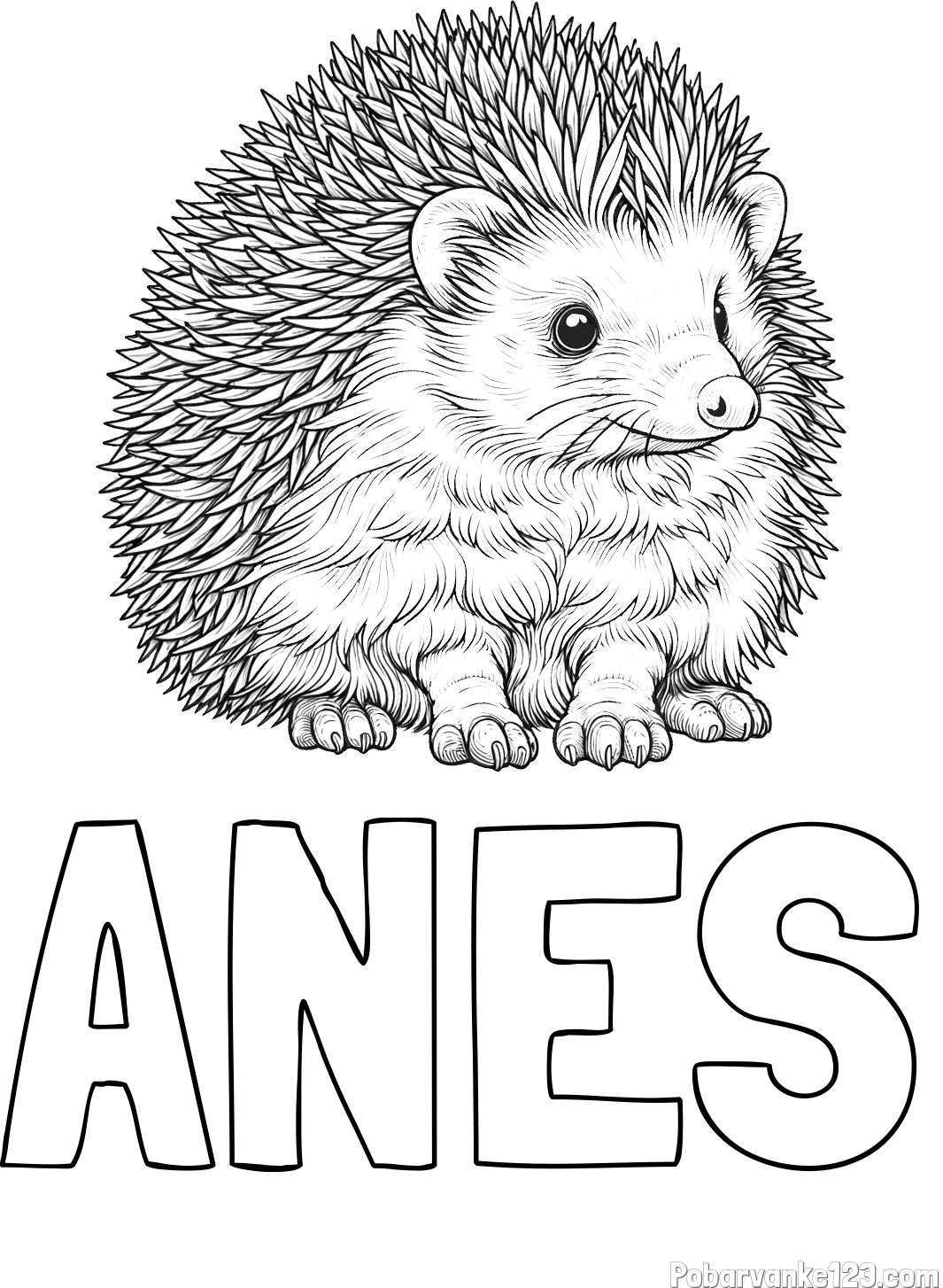 Pobarvanka imena ANES in pobarvanka nasmejanega ježa