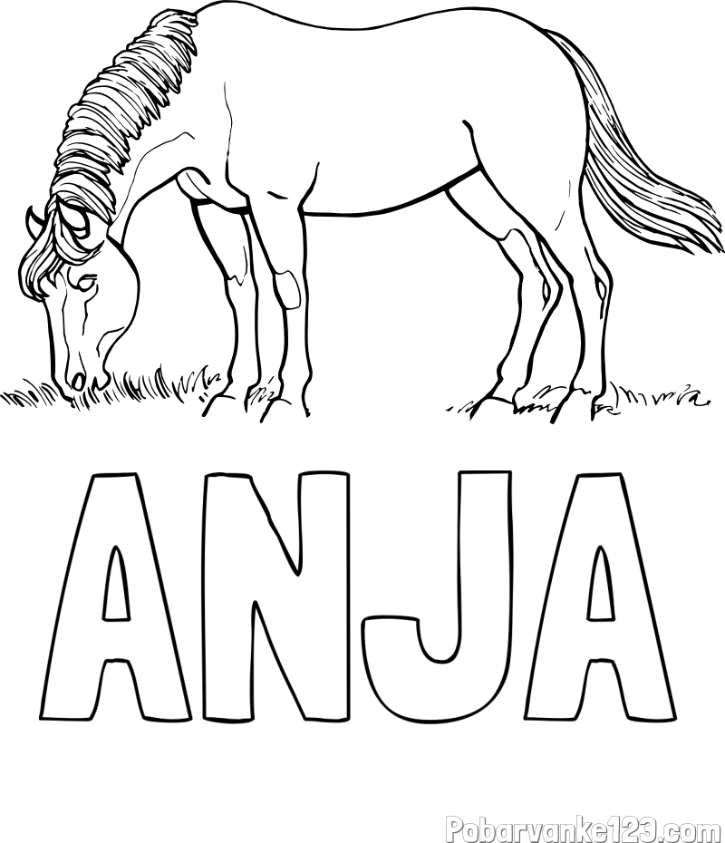 Pobarvanka imena ANJA in pobarvanka konja med pašo