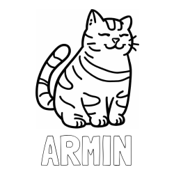 Online izdelana pobarvanka - Pobarvanka imena ARMIN in pobarvanka debelušne mačke