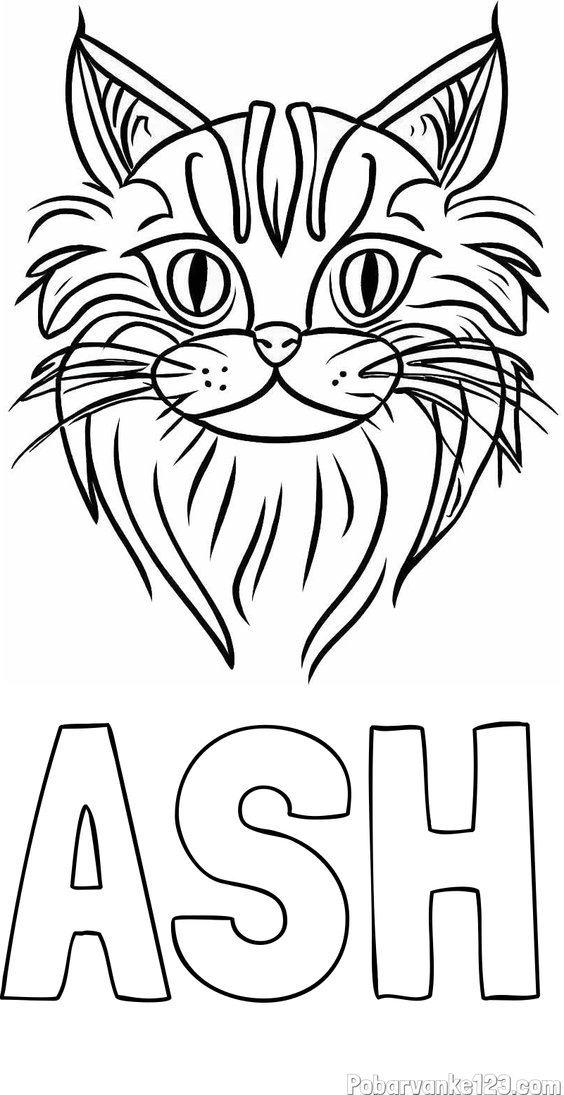 Pobarvanka imena ASH in pobarvanka mačje glave