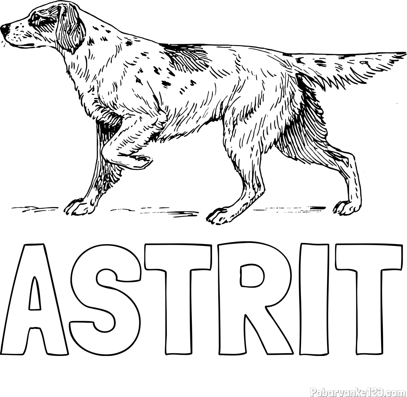 Pobarvanka imena ASTRIT in pobarvanka lovskega psa na lovu