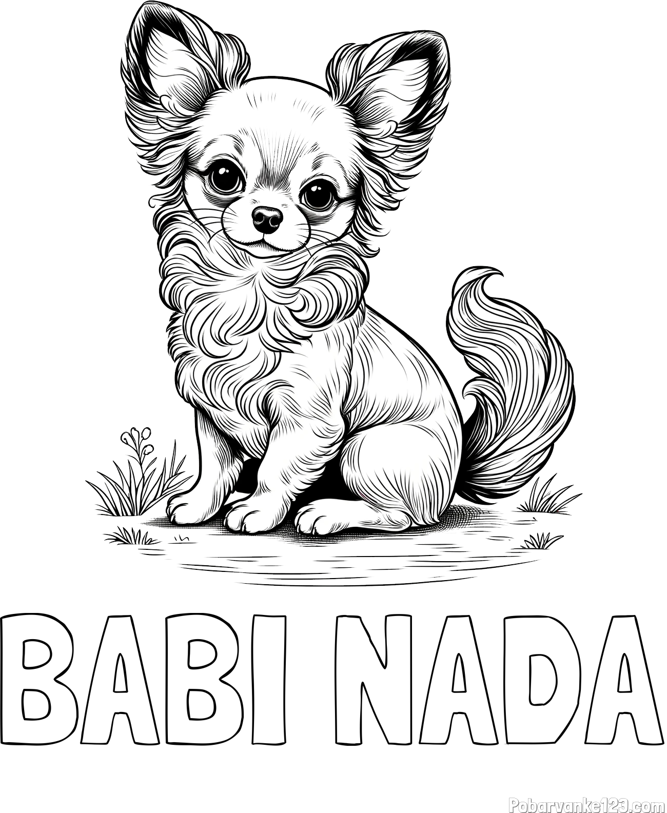 Pobarvanka imena BABI NADA in pobarvanka ljubke čivave