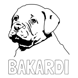 Online izdelana pobarvanka - Pobarvanka imena BAKARDI in pobarvanka prikupnega bulldog mladička