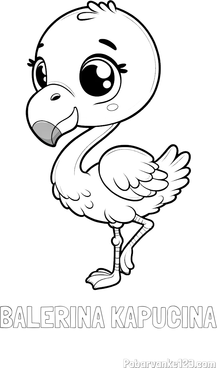 Pobarvanka imena BALERINA KAPUČINA in otroška pobarvanka flaminga