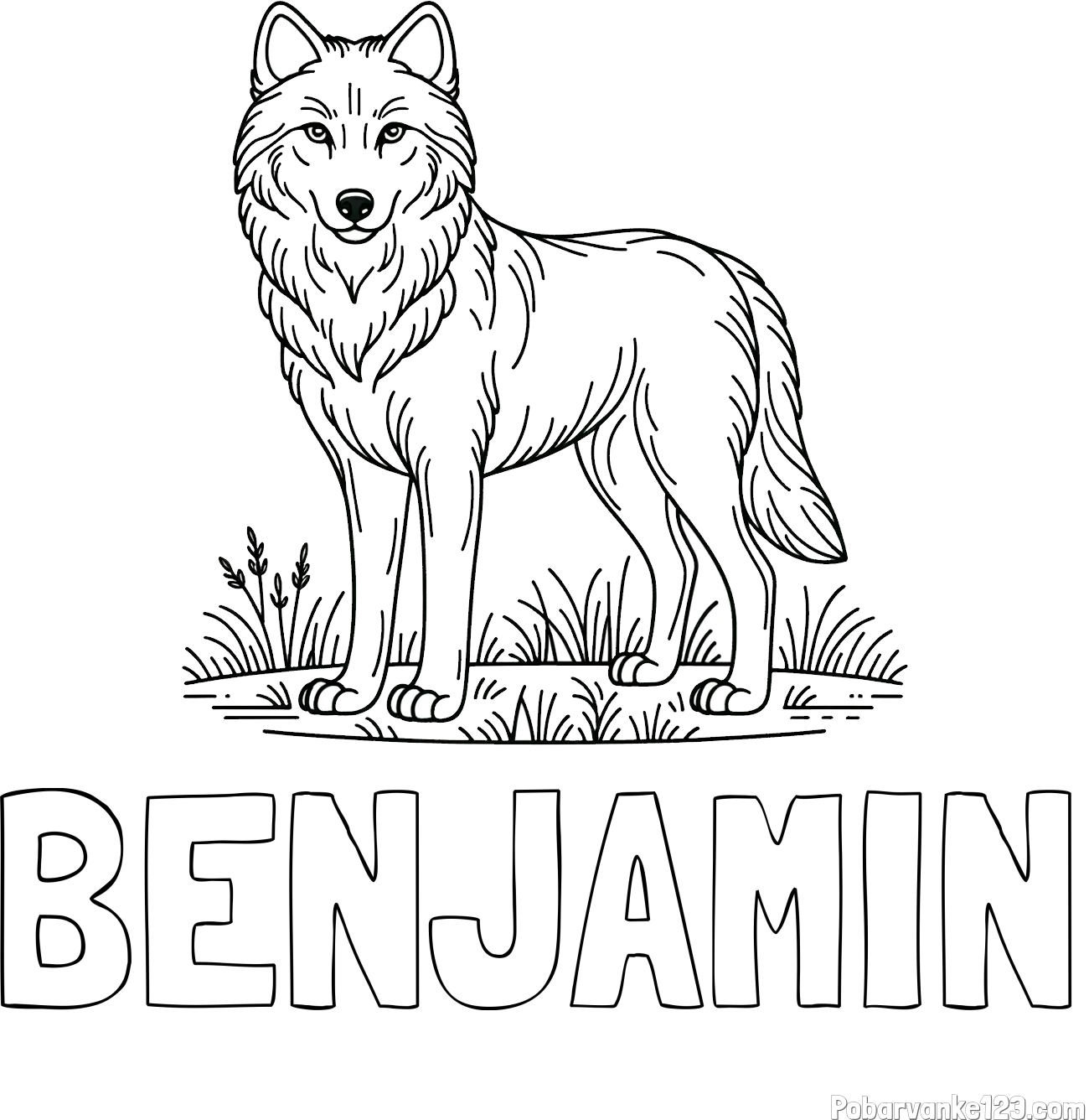 Pobarvanka imena BENJAMIN in pobarvanka volka