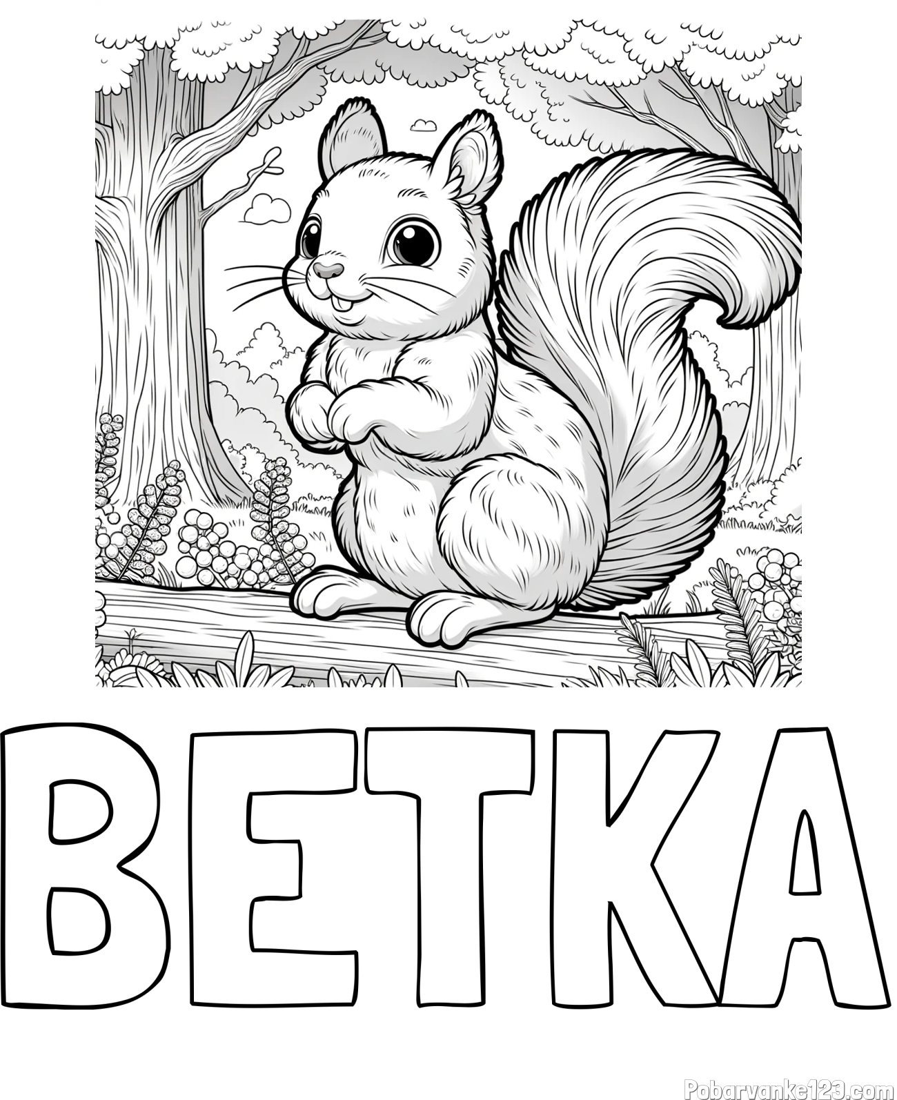 Pobarvanka imena BETKA in pobarvanka veverice v gozdu