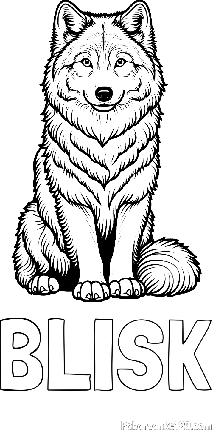 Pobarvanka imena BLISK in pobarvanka prijaznega volka