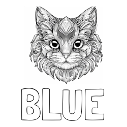 Online izdelana pobarvanka - Pobarvanka imena BLUE in pobarvanka mačke