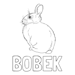 Online izdelana pobarvanka - Pobarvanka imena BOBEK in pobarvanka debelega zajca