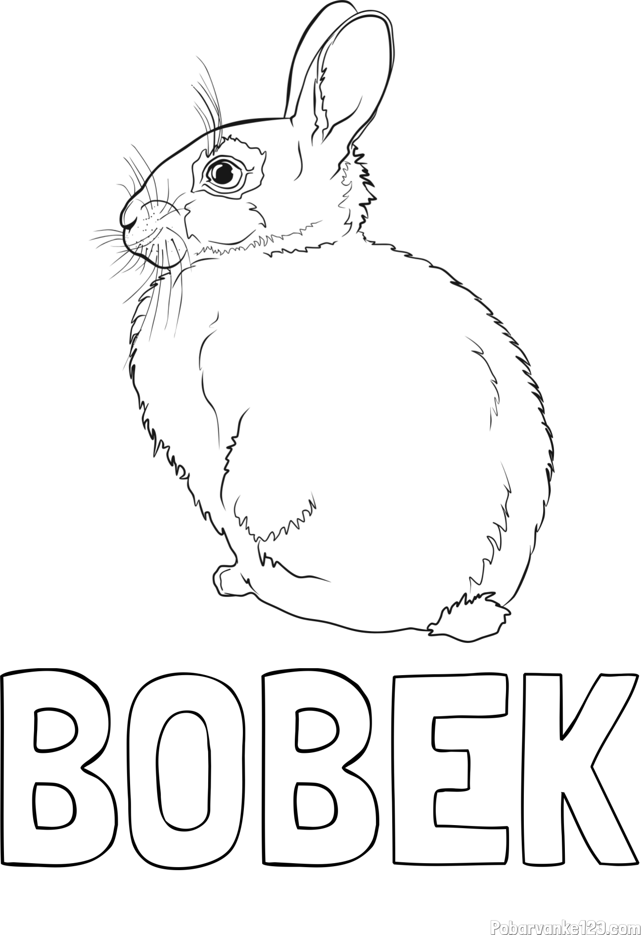 Pobarvanka imena BOBEK in pobarvanka debelega zajca
