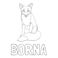 Online izdelana pobarvanka - Pobarvanka imena BORNA in pobarvanka lisice