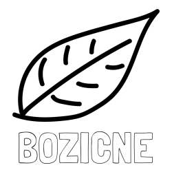 Online izdelana pobarvanka - Pobarvanka imena BOŽIČNE in otroška pobarvanka jesenskega lista